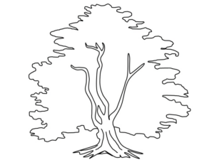 Disegno di albero da stampare e colorare 11