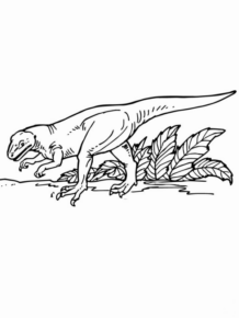 Disegno di Tirannosauro da stampare e colorare 85