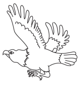 Disegno di aquila da stampare e colorare 1