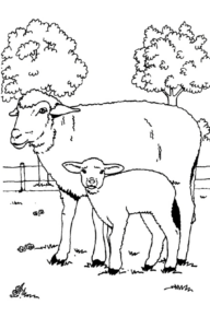 Disegno di pecora da stampare e colorare 33