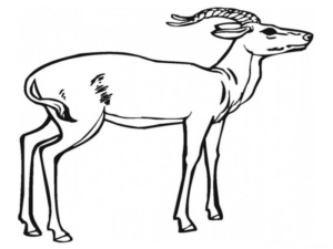 Disegno di cervo da stampare e colorare 17