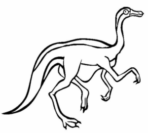 Disegno di Velociraptor da stampare e colorare 24