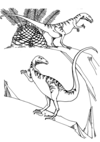 Disegno di Velociraptor da stampare e colorare 16