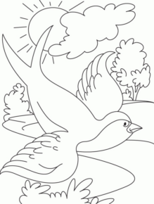 Disegno di rondine da stampare e colorare 5