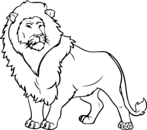 Disegno di leone da stampare e colorare 72