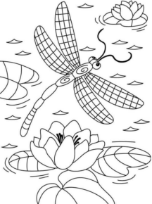 Disegno di libellula da stampare e colorare 24
