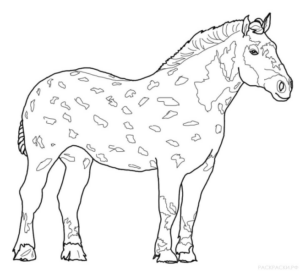 Disegno di cavallo da stampare e colorare 156