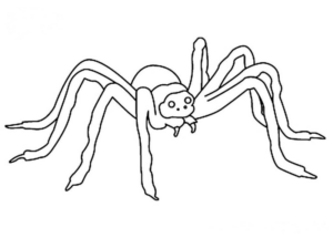 Disegno di ragno da stampare e colorare 77