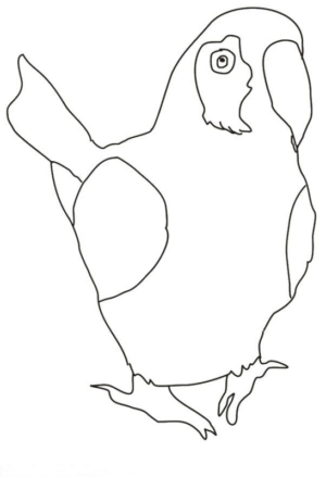 Disegno di pappagallo da stampare e colorare 124