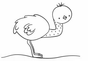 Disegno di struzzo da stampare e colorare 16