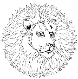 Disegno di leone da stampare e colorare 29