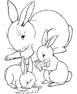 Disegno di coniglio da stampare e colorare 6