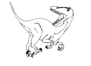 Disegno di Velociraptor da stampare e colorare 28