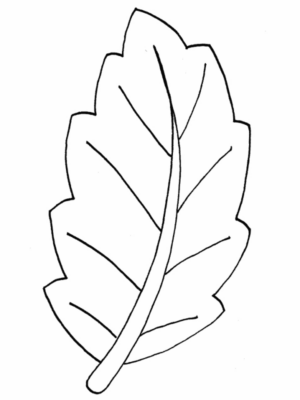 Disegno di foglia da stampare e colorare 58