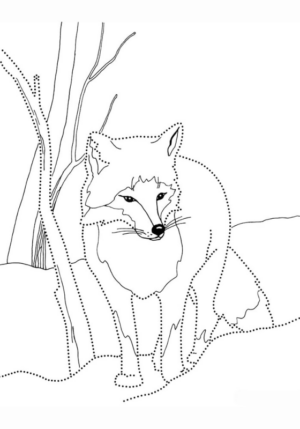 Disegno di volpe da stampare e colorare 74
