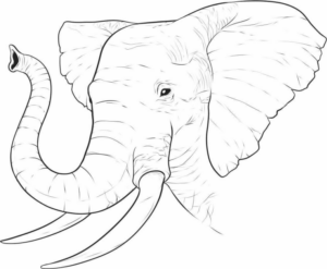 Disegno di elefante da stampare e colorare 23