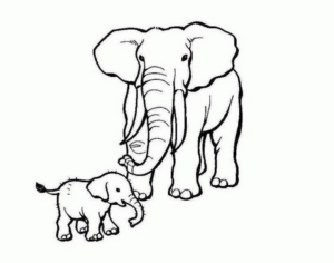 Disegno di elefante da stampare e colorare 111