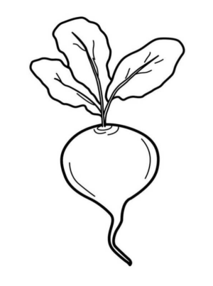Disegno di rapa da stampare e colorare