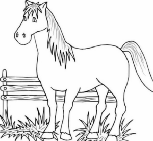 Disegno di cavallo da stampare e colorare 194