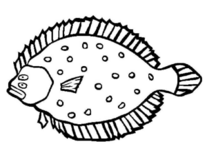 Disegno di pesce da stampare e colorare 181