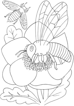 Disegno di ape da stampare e colorare 17
