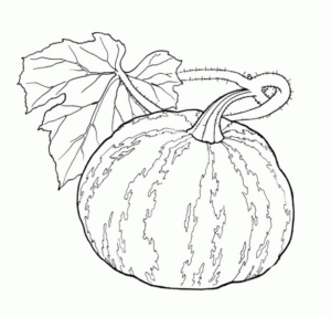 Disegno di zucca da stampare e colorare 10
