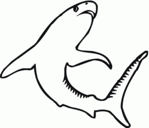 Disegno di squalo da stampare e colorare 23