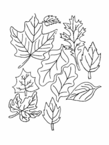 Disegno di foglia da stampare e colorare 19