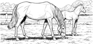 Disegno di cavallo da stampare e colorare 165