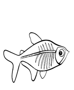 Disegno di pesce da stampare e colorare 201