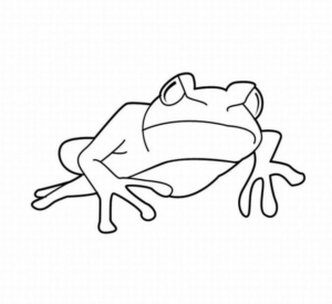 Disegno di rana da stampare e colorare 79