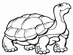 Disegno di tartaruga di terra da stampare e colorare 17