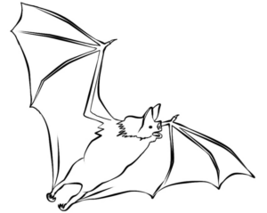 Disegno di pipistrello da stampare e colorare 4