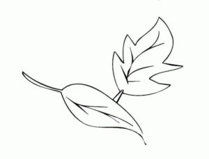 Disegno di foglia da stampare e colorare 37