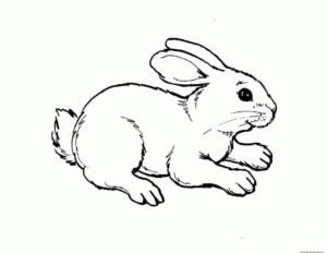 Disegno di coniglio da stampare e colorare 12