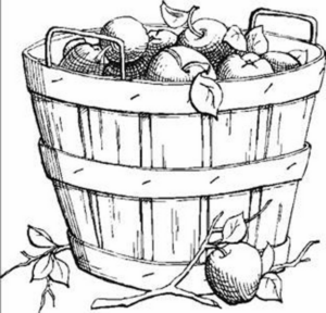 Disegno di mela da stampare e colorare 8