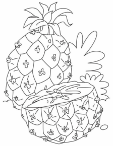 Disegno di ananas da stampare e colorare 17