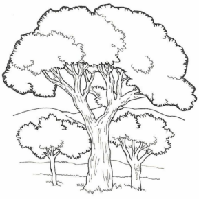 Disegno di albero da stampare e colorare 137