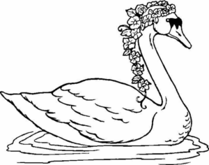 Disegno di cigno da stampare e colorare 22