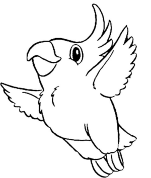 Disegno di pappagallo da stampare e colorare 51
