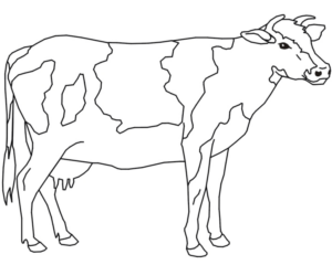 Disegno di mucca da stampare e colorare 36