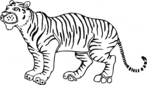 Disegno di tigre da stampare e colorare 18