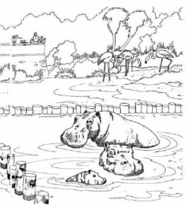 Disegno di ippopotamo da stampare e colorare 55