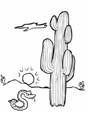 Disegno di cactus da stampare e colorare 3