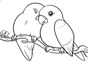 Disegno di pappagallo da stampare e colorare 55