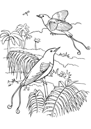 Disegno di passero da stampare e colorare 117