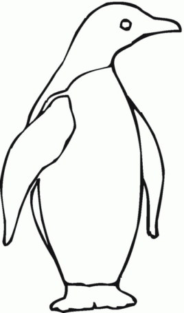 Disegno di pinguino da stampare e colorare 26