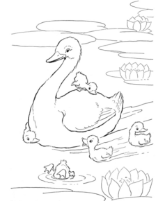 Disegno di cigno da stampare e colorare 2