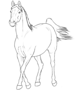 Disegno di cavallo da stampare e colorare 63