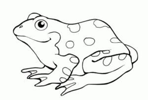 Disegno di rana da stampare e colorare 29
